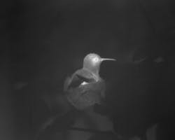 1707vsd Snap 01 1707vsd Snap 01