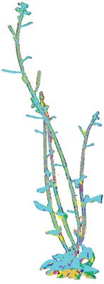 1709vsd Isp F6 1709vsd Isp F6