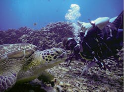 171120 Vsd Visionfaces 4 171120 Vsd Visionfaces 4