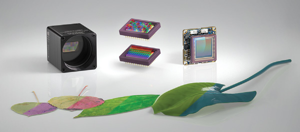 Hyperspectral Imaging: Vision Landscape Expands With The Rise Of ...