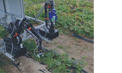 1804vsd Snap P01 1804vsd Snap P01