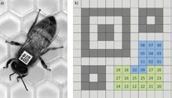 1806vsdispf1 1806vsdispf1