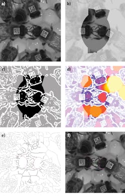 1806vsdispf4 1806vsdispf4