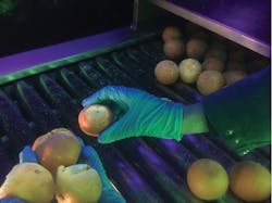 1806vsdpf P03 1806vsdpf P03