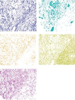 1808lfw Fon 6 1808lfw Fon 6