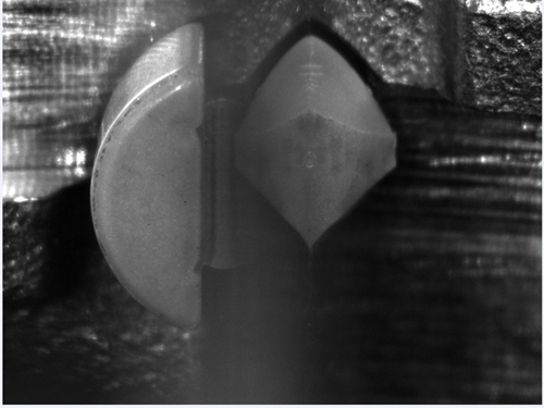 1811vsd Snap P02