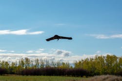 In Flight Data Battery Powered Uas In Flight Data Battery Powered Uas