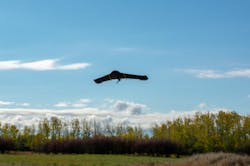 In Flight Data Battery Powered Uas In Flight Data Battery Powered Uas