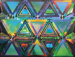 1903vsd Snap P02 1903vsd Snap P02