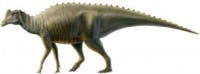 Content Dam Vsd En Articles 2013 10 3d Scans Show Entire Fossil Of Baby Dinosaur Skeleton Leftcolumn Article Thumbnailimage File