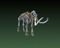 Content Dam Vsd En Articles 2014 01 Smithsonian Creates 3d Model Of Mammoth Other Historical Artifacts Leftcolumn Article Thumbnailimage File