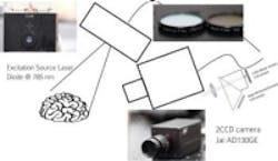 Content Dam Vsd En Articles 2014 02 Vision System Uses Scorpion Venom Protein And A Laser To Identify Tumors Leftcolumn Article Thumbnailimage File Content Dam Vsd En Articles 2014 02 Vision System Uses Scorpion Venom Protein And A Laser To Identify Tumors Leftcolumn Article Thumbnailimage File