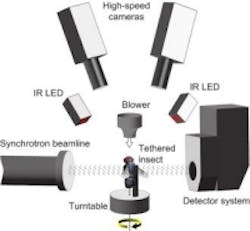 Content Dam Vsd En Articles 2014 04 High Speed Imaging Technique Reveals Mechanics Of Insect Flight Leftcolumn Article Thumbnailimage File Content Dam Vsd En Articles 2014 04 High Speed Imaging Technique Reveals Mechanics Of Insect Flight Leftcolumn Article Thumbnailimage File