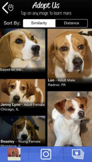 Content Dam Vsd En Articles 2014 06 Finding The Perfect Pet With Machine Vision Technology Leftcolumn Article Thumbnailimage File