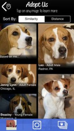 Content Dam Vsd En Articles 2014 06 Finding The Perfect Pet With Machine Vision Technology Leftcolumn Article Thumbnailimage File Content Dam Vsd En Articles 2014 06 Finding The Perfect Pet With Machine Vision Technology Leftcolumn Article Thumbnailimage File