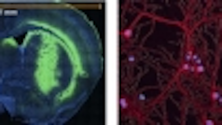 Content Dam Vsd En Articles 2014 06 Gige Cameras Provide Vision In Cell Imaging Microscope System Leftcolumn Article Thumbnailimage File
