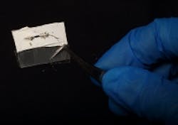 Content Dam Vsd En Articles 2014 06 Researchers Developing Terahertz Detectors With Eye On Improving Certain Imaging Applications Leftcolumn Article Thumbnailimage File Content Dam Vsd En Articles 2014 06 Researchers Developing Terahertz Detectors With Eye On Improving Certain Imaging Applications Leftcolumn Article Thumbnailimage File