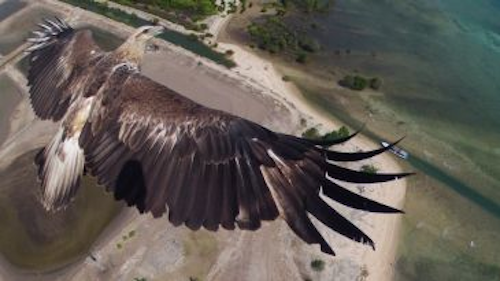 Content Dam Vsd En Articles 2014 07 The Beautiful Side Of Uavs Leftcolumn Article Thumbnailimage File