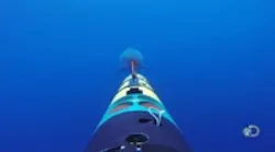 Content Dam Vsd En Articles 2014 08 Great White Shark Attacks Autonomous Tracking Robot On Camera Leftcolumn Article Thumbnailimage File