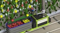 Content Dam Vsd En Articles 2015 02 Vegetable Harvesting Robot Being Developed By European Commission Leftcolumn Article Thumbnailimage File