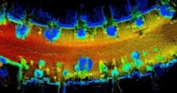 Content Dam Vsd En Articles 2015 05 3d Software Development Kit Enables 3d Data Extraction In Real Time Leftcolumn Article Thumbnailimage File