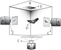 Content Dam Vsd En Articles 2015 12 High Speed Cameras Reveal How Bats Land Upside Down Leftcolumn Article Thumbnailimage File Content Dam Vsd En Articles 2015 12 High Speed Cameras Reveal How Bats Land Upside Down Leftcolumn Article Thumbnailimage File