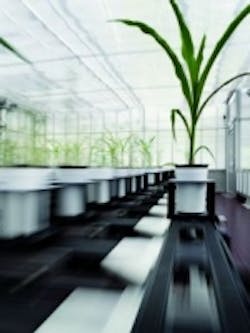 Content Dam Vsd En Articles 2016 03 Life Sciences Imaging Infrared Cameras Help Analyze Water Absorption In Crops Leftcolumn Article Thumbnailimage File Content Dam Vsd En Articles 2016 03 Life Sciences Imaging Infrared Cameras Help Analyze Water Absorption In Crops Leftcolumn Article Thumbnailimage File