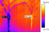 Content Dam Vsd En Articles 2016 03 Page 2 Life Sciences Imaging Infrared Cameras Help Analyze Water Absorption In Crops Leftcolumn Article Thumbnailimage File