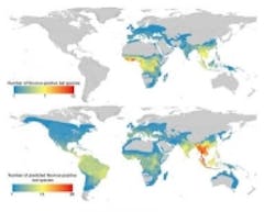 Content Dam Vsd En Articles 2016 07 Machine Learning Algorithm Being Used To Track Ebola Infested Bats Leftcolumn Article Thumbnailimage File Content Dam Vsd En Articles 2016 07 Machine Learning Algorithm Being Used To Track Ebola Infested Bats Leftcolumn Article Thumbnailimage File