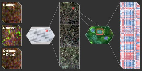 Content Dam Vsd En Articles 2017 01 Deep Learning And Machine Vision Help To Identify Possible New Drug Treatments Leftcolumn Article Headerimage File