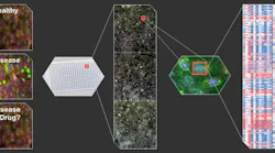 Content Dam Vsd En Articles 2017 01 Deep Learning And Machine Vision Help To Identify Possible New Drug Treatments Leftcolumn Article Headerimage File