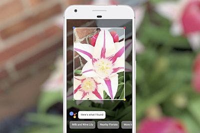 Content Dam Vsd En Articles 2017 05 Google Lens Leverages Computer Vision And Artificial Intelligence To Understand Images Leftcolumn Article Headerimage File