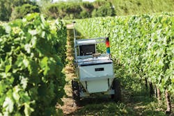 Content Dam Vsd En Articles 2017 06 Website Predicts Jobs Most Likely To Be Replaced By Robots In The Future Leftcolumn Article Headerimage File Content Dam Vsd En Articles 2017 06 Website Predicts Jobs Most Likely To Be Replaced By Robots In The Future Leftcolumn Article Headerimage File