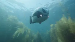 Content Dam Vsd En Articles 2017 10 Biki Vision Guided Robot Fish Now Available To The Public Leftcolumn Article Headerimage File