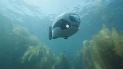 Content Dam Vsd En Articles 2017 10 Biki Vision Guided Robot Fish Now Available To The Public Leftcolumn Article Headerimage File Content Dam Vsd En Articles 2017 10 Biki Vision Guided Robot Fish Now Available To The Public Leftcolumn Article Headerimage File