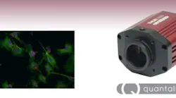 Content Dam Vsd En Articles 2017 11 Scientific Cmos Camera From Thorlabs Enables Multispectral Imaging Leftcolumn Article Headerimage File