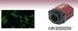 Content Dam Vsd En Articles 2017 11 Scientific Cmos Camera From Thorlabs Enables Multispectral Imaging Leftcolumn Article Headerimage File