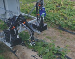 Content Dam Vsd En Articles 2018 02 Researchers Develop Lightweight Dual Arm Vision Guided Robot System For Cucumber Harvesting Leftcolumn Article Headerimage File