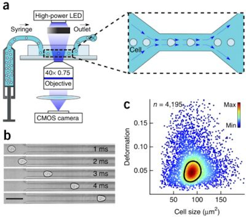 Content Dam Vsd En Articles 2018 07 High Speed Vision System Helps Accelerate Human Cell Analysis Leftcolumn Article Headerimage File