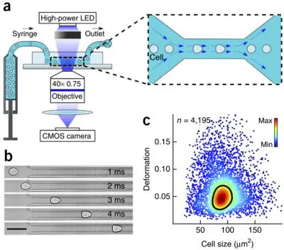 High-speed vision system helps accelerate human cell analysis | Vision ...