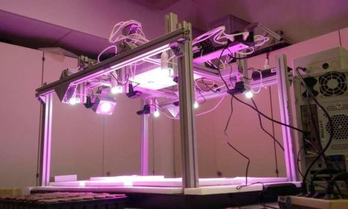 Content Dam Vsd En Articles 2018 07 Researches Use Computer Vision And Machine Learning Technologies To Predict Plant Growth Leftcolumn Article Headerimage File