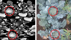 Content Dam Vsd En Articles 2018 11 3d Imaging Webcast Discover The Current And Future Methods And Applications Leftcolumn Article Headerimage File