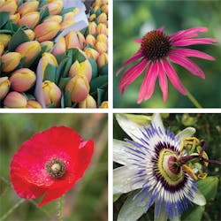 Vsd1903 Tt2 P02a Vsd1903 Tt2 P02a