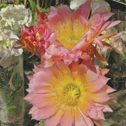 Vsd1903 Tt2 P03b Vsd1903 Tt2 P03b