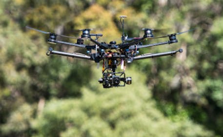 Støvet kort mulighed Machine learning system and IR cameras mounted on drones successfully  identify koala populations | Vision Systems Design
