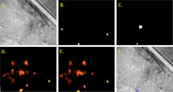 Koala Ir Footage For Population Tracking Koala Ir Footage For Population Tracking
