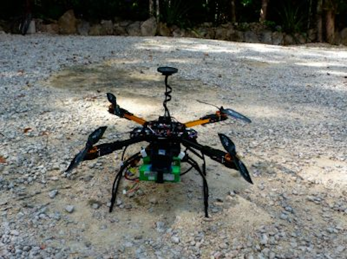 Content Dam Vsd Online Articles 2019 05 Custom Drone Spider Monkey Population Study Mexico
