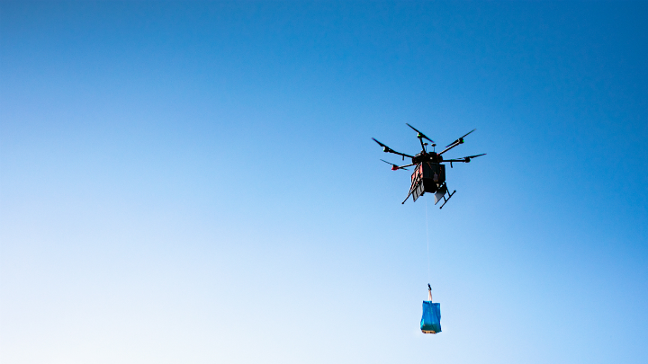 Flytrex Uas