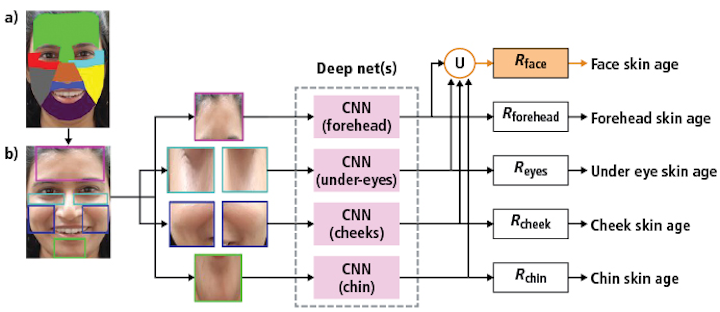 Figure 1: Olay’s Skin Advisor software uses computer vision and deep learning techniques to generate skin quality scores across several facial regions.