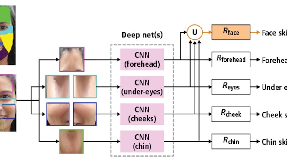 Figure 1: Olay&rsquo;s Skin Advisor software uses computer vision and deep learning techniques to generate skin quality scores across several facial regions.